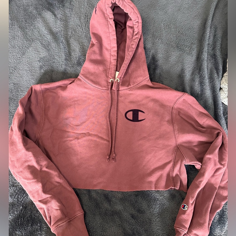 Champion sweatshirt reverse weave plum